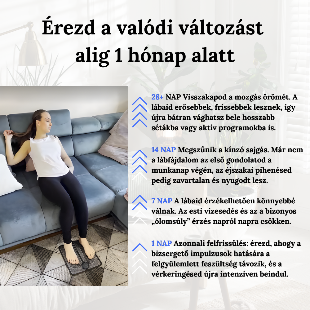 EMS Talp Relax Szőnyeg